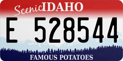 ID license plate E528544
