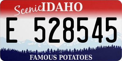ID license plate E528545