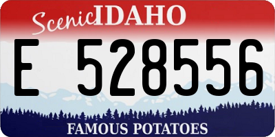 ID license plate E528556