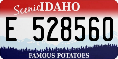 ID license plate E528560