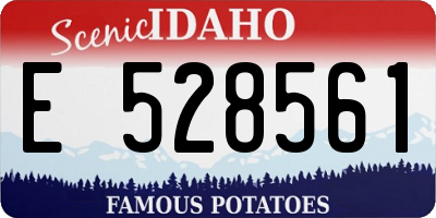 ID license plate E528561