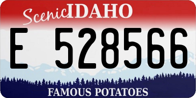 ID license plate E528566