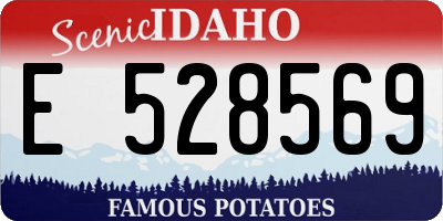 ID license plate E528569