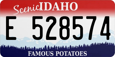 ID license plate E528574