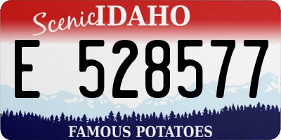 ID license plate E528577