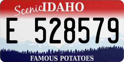 ID license plate E528579