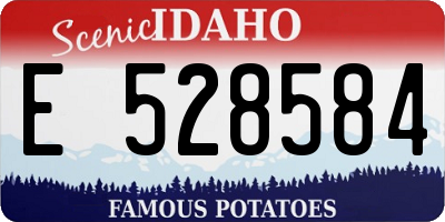 ID license plate E528584