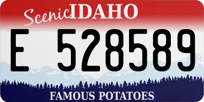ID license plate E528589