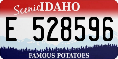 ID license plate E528596