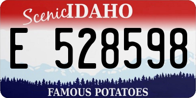 ID license plate E528598