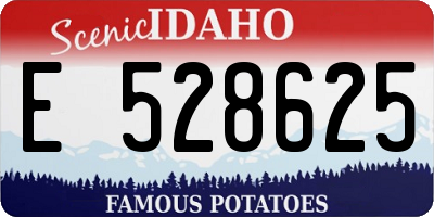ID license plate E528625