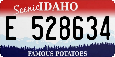 ID license plate E528634