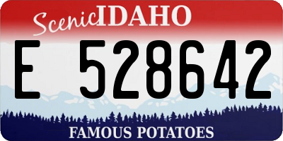 ID license plate E528642