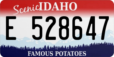 ID license plate E528647