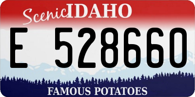 ID license plate E528660
