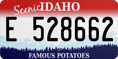 ID license plate E528662