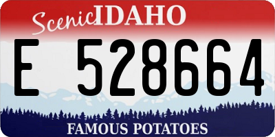 ID license plate E528664