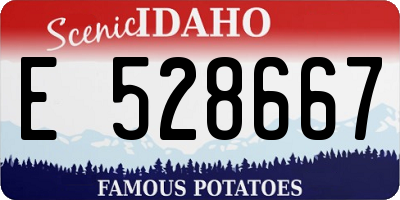 ID license plate E528667