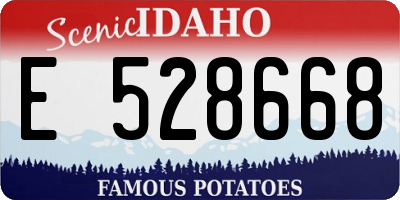 ID license plate E528668