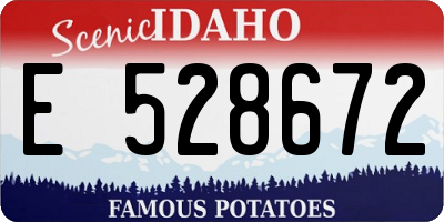 ID license plate E528672