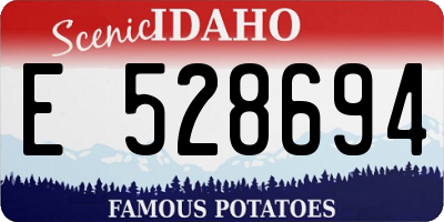 ID license plate E528694