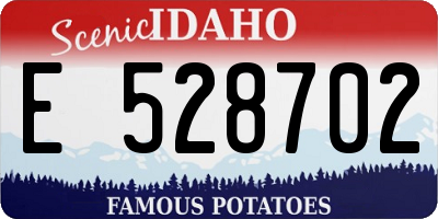ID license plate E528702
