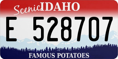 ID license plate E528707