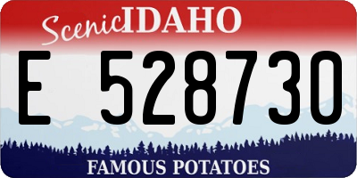 ID license plate E528730