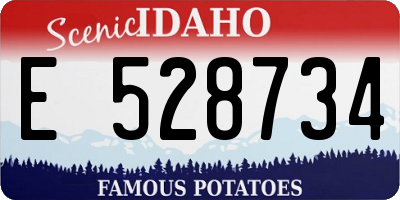 ID license plate E528734