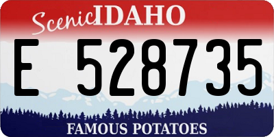 ID license plate E528735