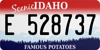 ID license plate E528737