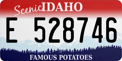 ID license plate E528746