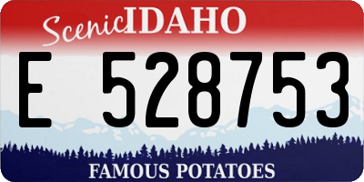 ID license plate E528753