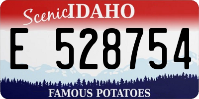 ID license plate E528754