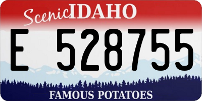 ID license plate E528755