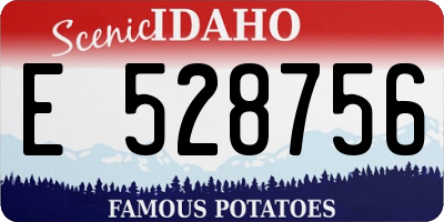ID license plate E528756
