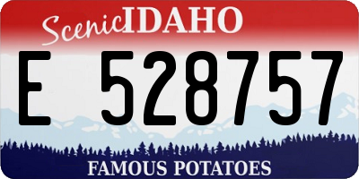 ID license plate E528757