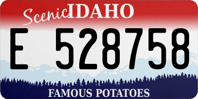 ID license plate E528758