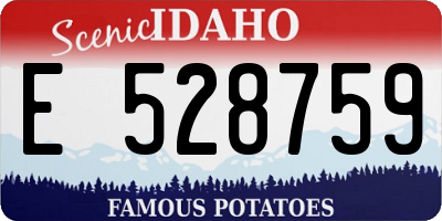 ID license plate E528759