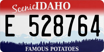 ID license plate E528764