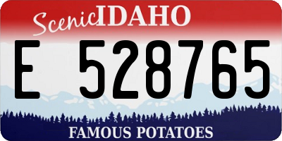 ID license plate E528765