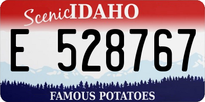 ID license plate E528767