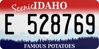 ID license plate E528769