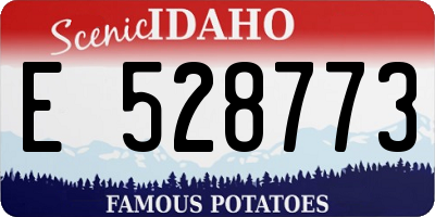 ID license plate E528773
