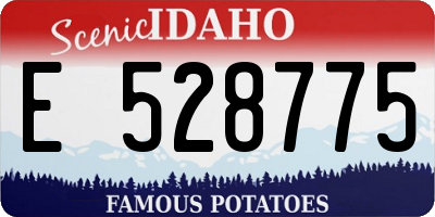 ID license plate E528775