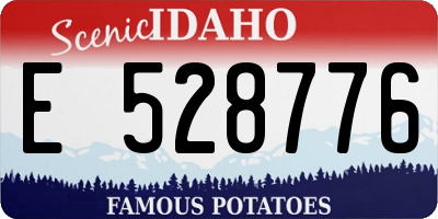 ID license plate E528776