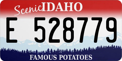 ID license plate E528779