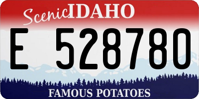 ID license plate E528780