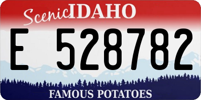 ID license plate E528782
