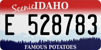 ID license plate E528783